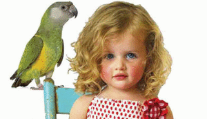 Top award for Oobi childrenswear 